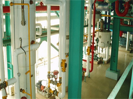 Presse à huile à vis fabriquée en République du Congo