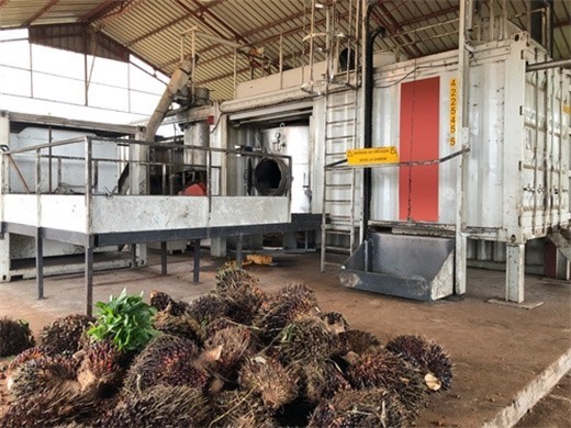 Presse à huile de palme de 300 kg en Guinée