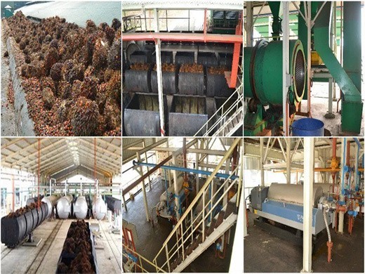 Liste des machines d’extraction d’huile de palme au Cameroun