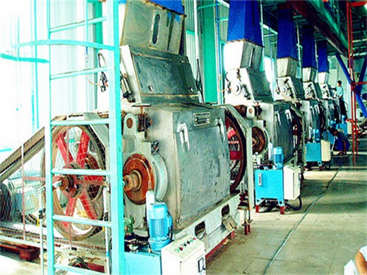 Achat d’une usine de raffinage d’équipements d’extraction d’huile de palme Dinter au Bénin